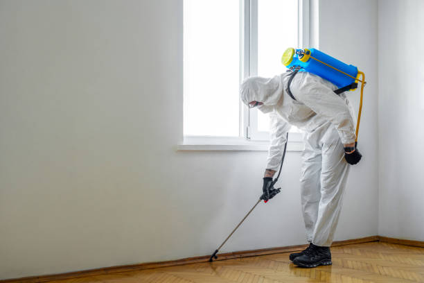 Best Pest Removal Services  in Manteo, NC