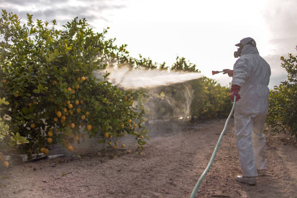 Best Pest Prevention Services  in Manteo, NC