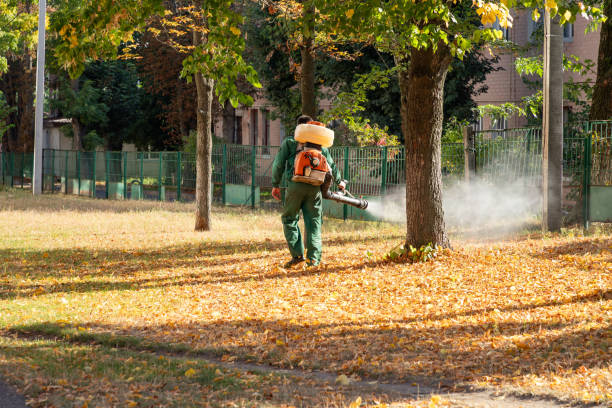 Best Insect Control  in Manteo, NC